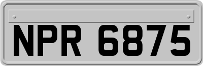NPR6875