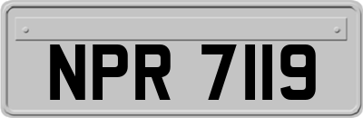 NPR7119