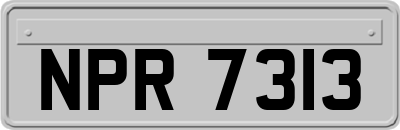 NPR7313