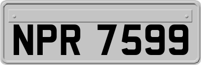 NPR7599