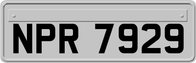 NPR7929