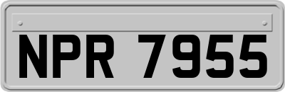 NPR7955