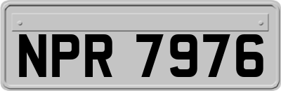 NPR7976