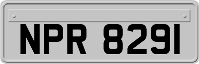 NPR8291