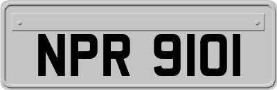 NPR9101