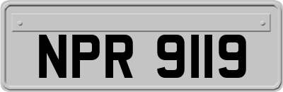 NPR9119
