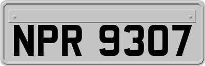 NPR9307