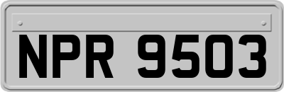 NPR9503