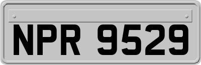 NPR9529