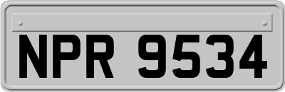NPR9534
