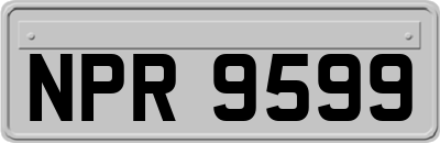 NPR9599