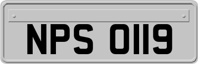 NPS0119