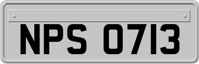 NPS0713