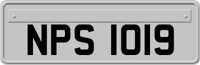 NPS1019