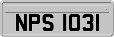 NPS1031
