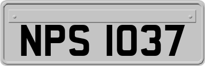NPS1037