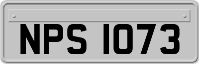 NPS1073