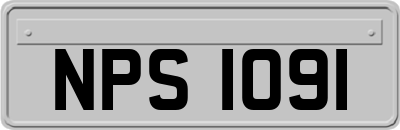 NPS1091