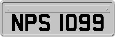 NPS1099