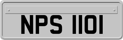 NPS1101
