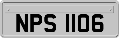 NPS1106