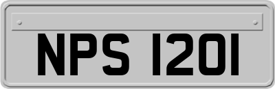 NPS1201