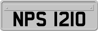NPS1210