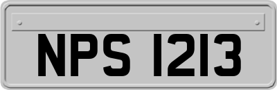 NPS1213