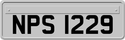 NPS1229