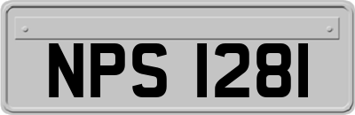 NPS1281