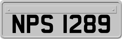 NPS1289