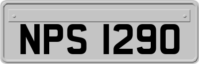 NPS1290