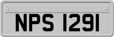 NPS1291