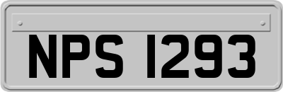 NPS1293