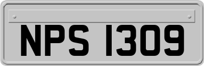 NPS1309