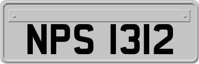 NPS1312