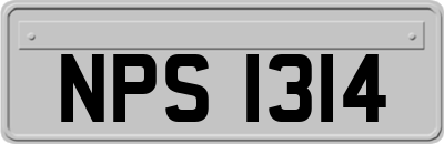 NPS1314