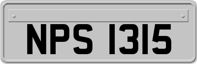 NPS1315