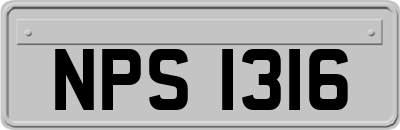 NPS1316