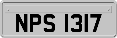 NPS1317