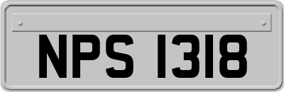 NPS1318