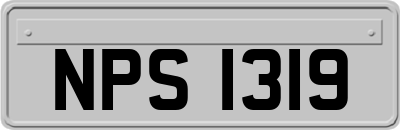 NPS1319