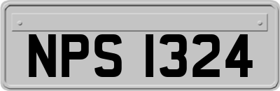NPS1324