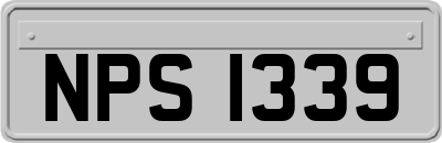 NPS1339