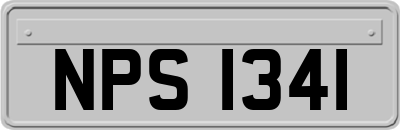 NPS1341