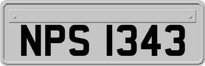 NPS1343