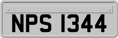 NPS1344