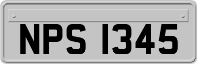 NPS1345