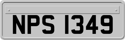 NPS1349