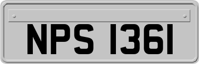NPS1361